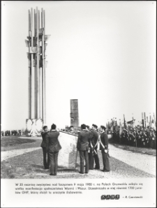 [Uroczyste ślubowanie junaków OHP na Polach Grunwaldu]