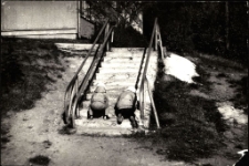 [Zabawa na schodach]