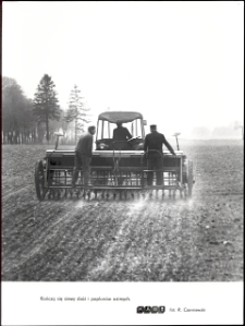 [Siew zbóż i poplonów ozimych]