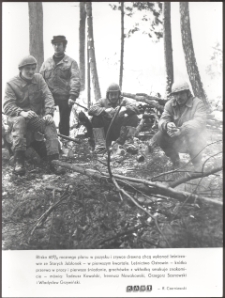 [Pozysk drewna w Leśnictwie Ostrowin]