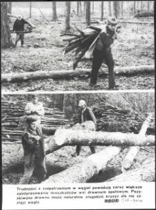 [Pozyskiwanie drewna opałowego z lasu]