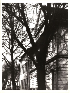 Ulica Królewiecka w Mrągowie. [2]