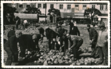 [Zrywanie bruku na Placu Mickiewicza w Działdowie. 1]