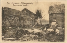 Vom ostpreussisch. Kriegsschauplatz. Bauerngehöft bei Lyck