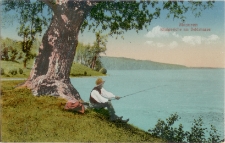 Masuren. Königseiche am Beldahnsee