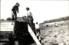 [Młodzież szkolna na wykopkach. 2]