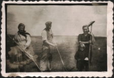 [Praca w polu w okolicach Dłutowa 1943. 2]