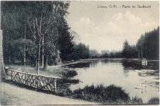 Lötzen, O.- Pr. - Partie im Stadtwald