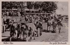 Wehlau, Ostpr. Pferdemarkt
