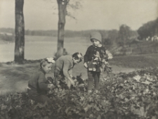 [Dzieci zbierające liście]