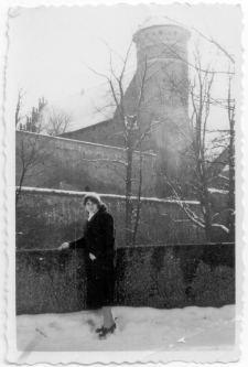 [Park Podzamcze w Olsztynie. 4]