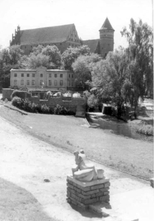 [Pomnik "Żaby" w Olsztynie]